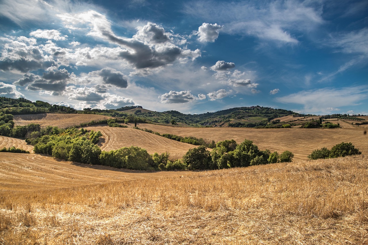 rolling vineyards in Tuscany Italy