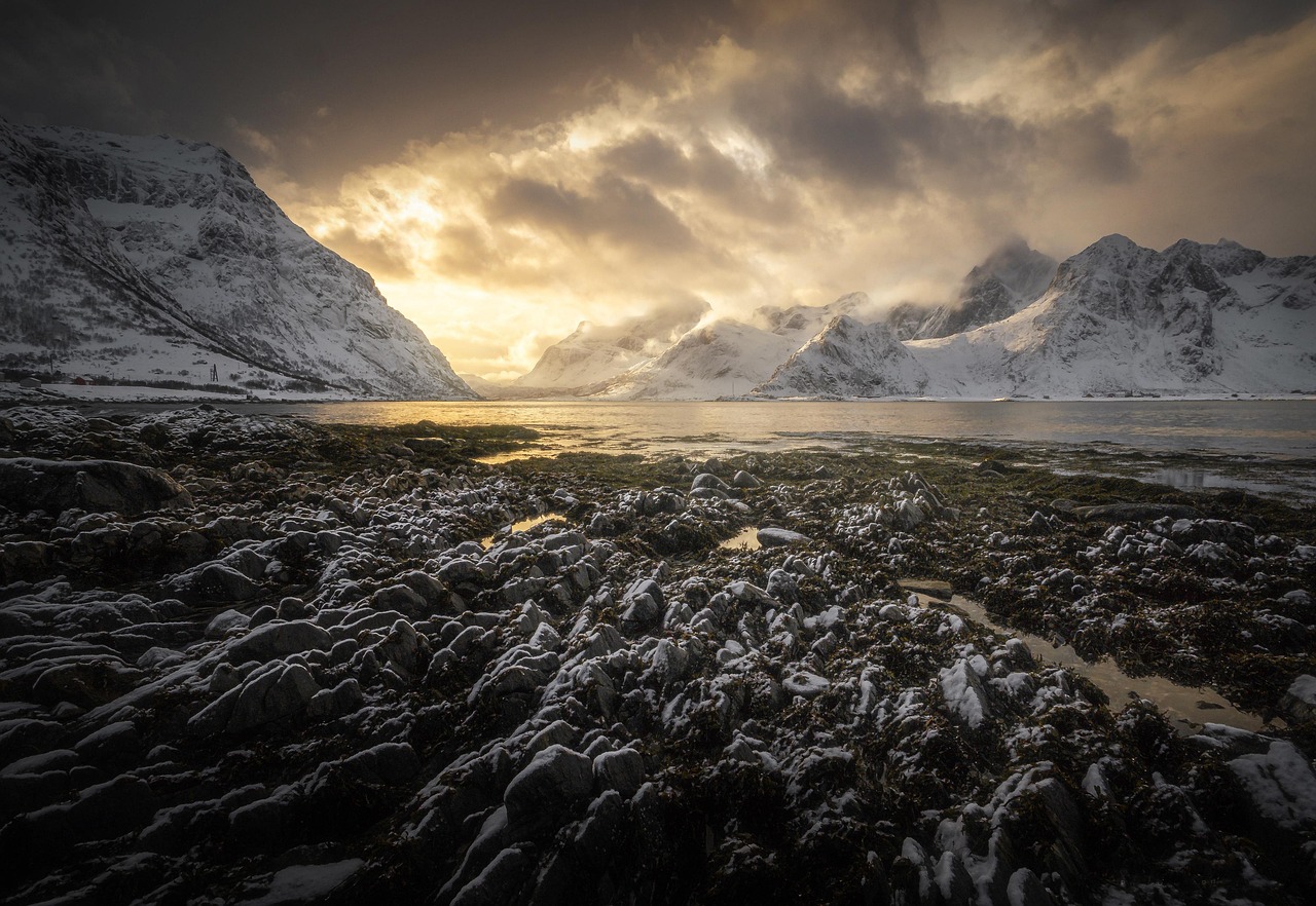 scenic fjords in western Norway