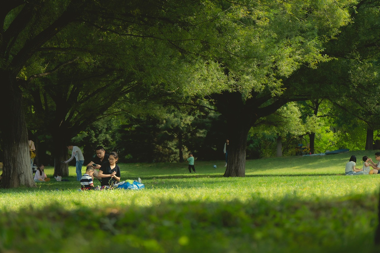 Family enjoying a picnic in a European city park