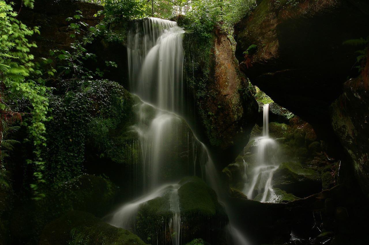 Forest scenery near Caldeira Velha hot springs