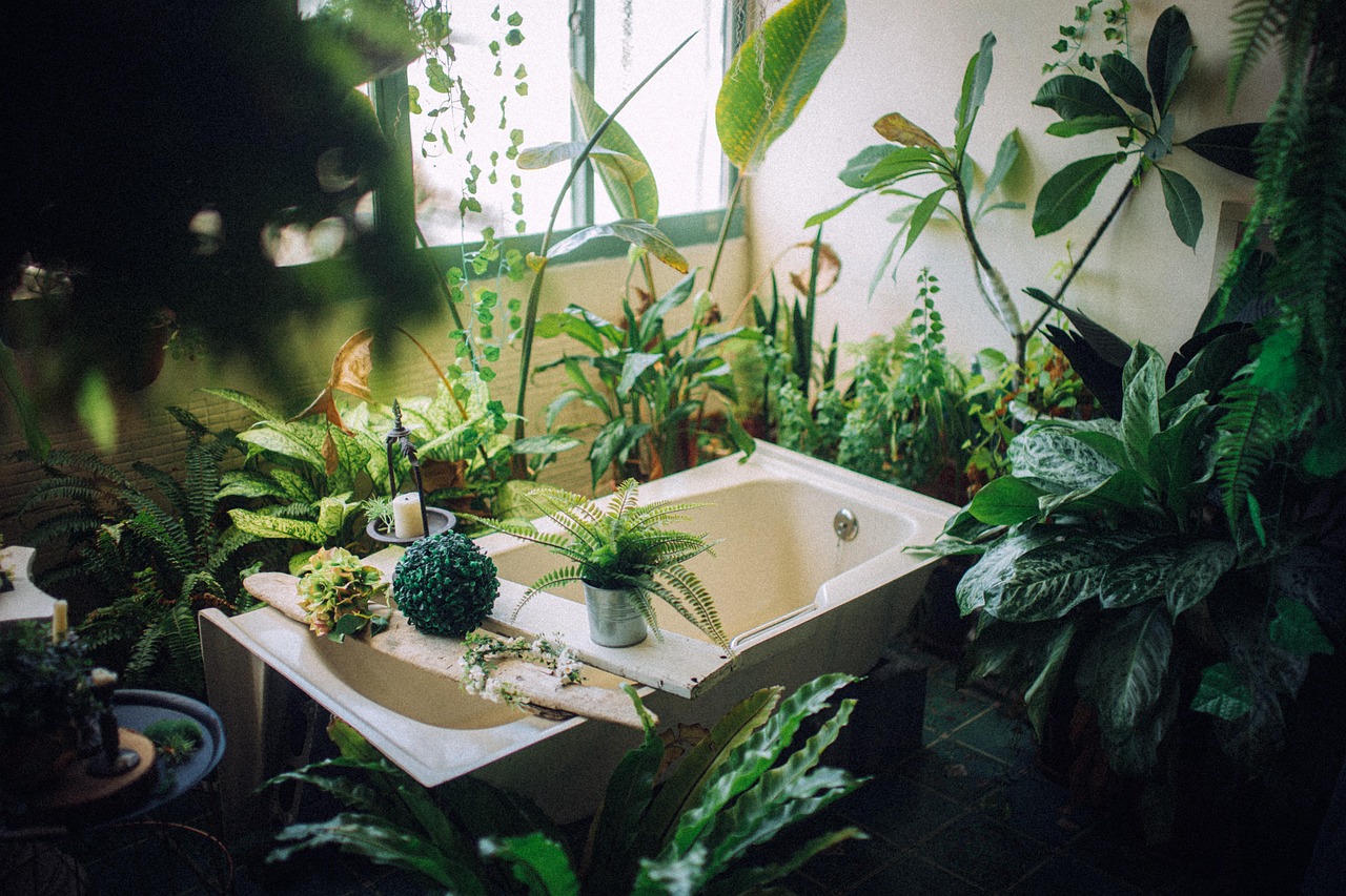 Terra Nostra garden pools in São Miguel Azores