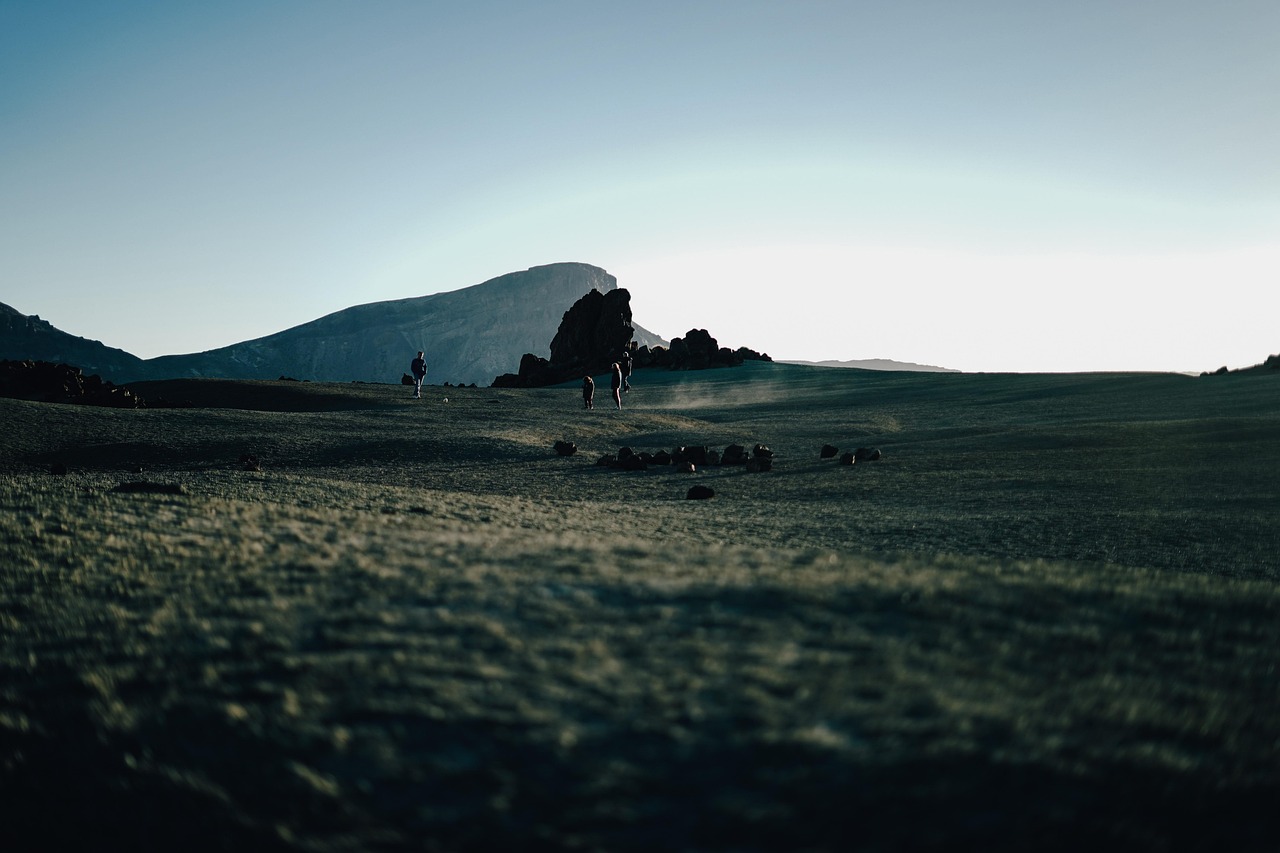 Volcanic landscape and pine trees in the Tenerife highlands