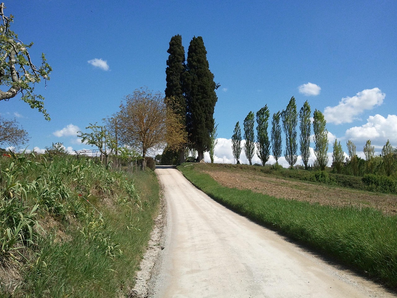Winding road through countryside near saturnia hot springs tuscany italy