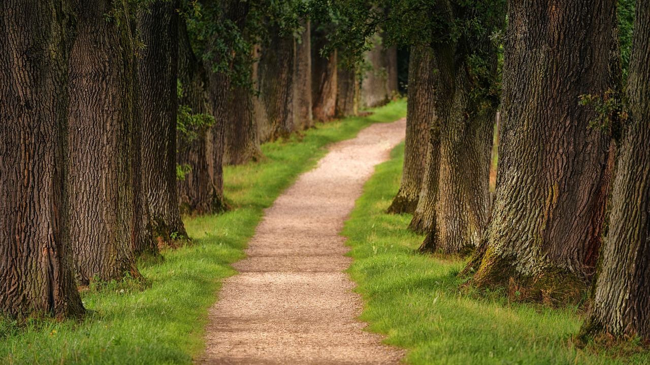Hiking path near the lakes in Sete Cidades