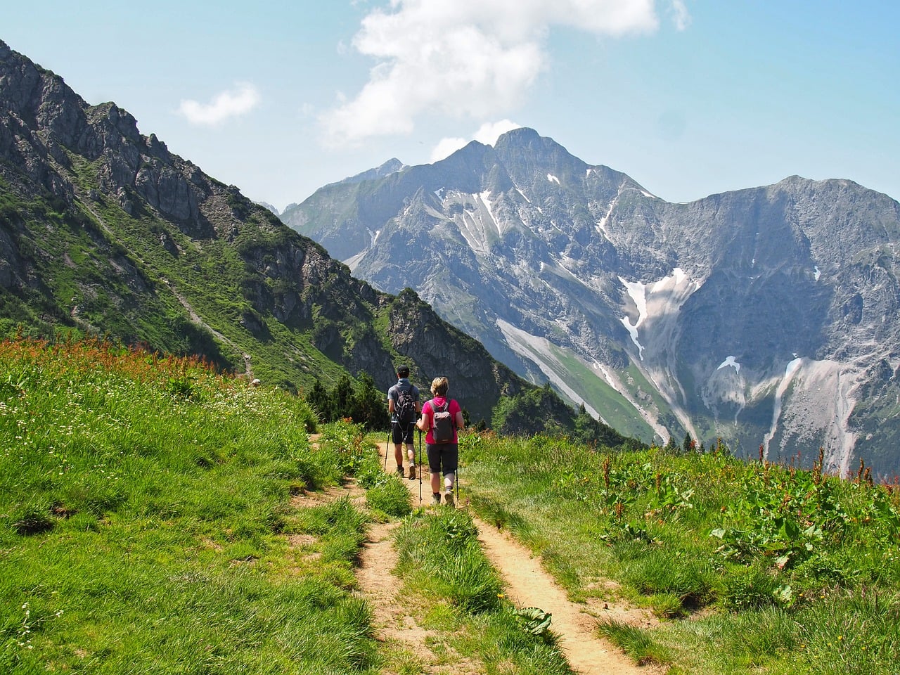 Mount Ainos trail leading through pine forest