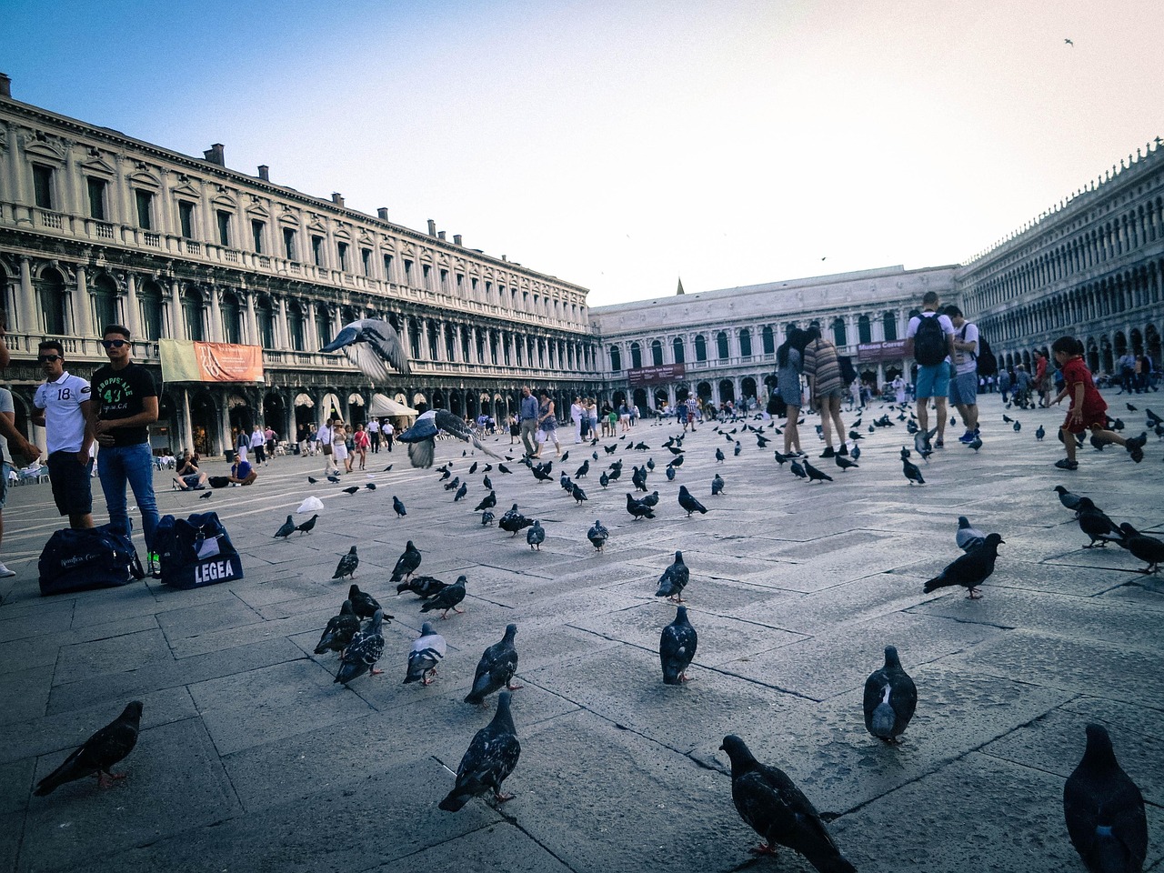 Things to do in venice - Pigeons crowding the steps near St. Mark's Basilica in Venice, Italy